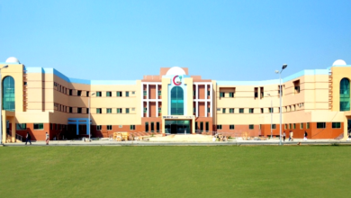 Medical Colleges in Bahawalpur